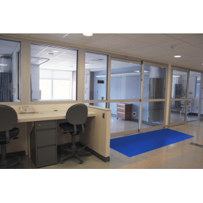 Covor dezinfectant antibacterian 30 file  115 x 45 cm 3